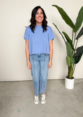 The Ashlyn Ribbed Top (Sky)