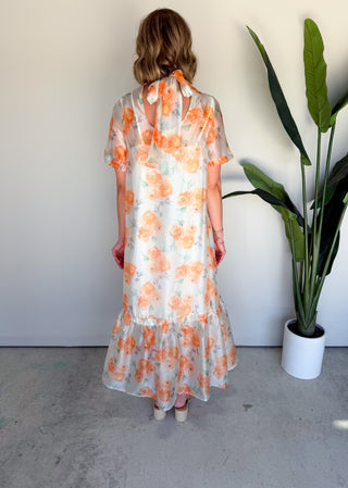 The Iris Sheer Maxi Dress