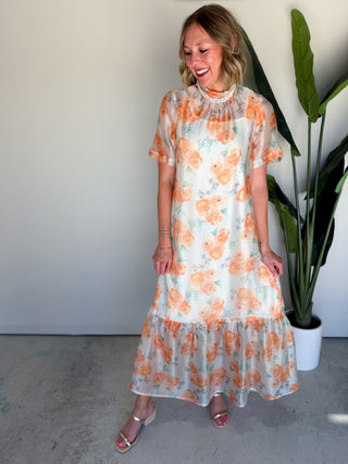 The Iris Sheer Maxi Dress