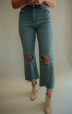 The Balsam Vintage Flare Crop Denim